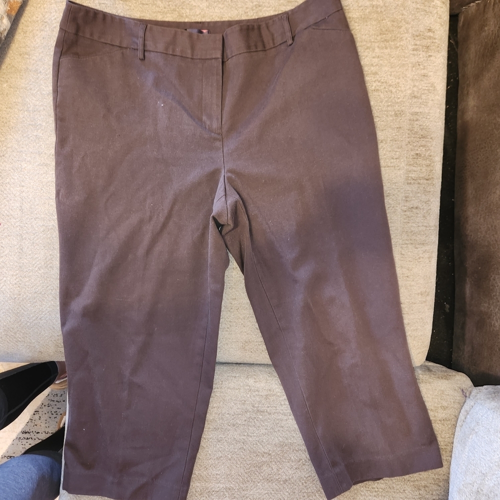 Rafaella Women's Dark Brown Capris